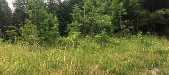 Grundstück in Pievepelago, Italy 10745m², Nr. 122508 2