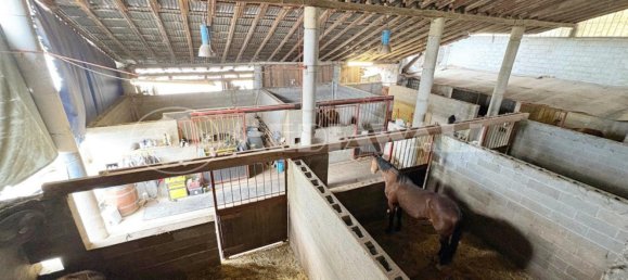 5-salle Maison à Pordenone, Italy No. 271386 10