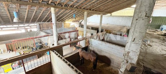 5-salle Maison à Pordenone, Italy No. 271386 11