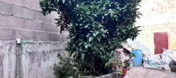 3 bedrooms House in Arucas, Spain No. 170130 4