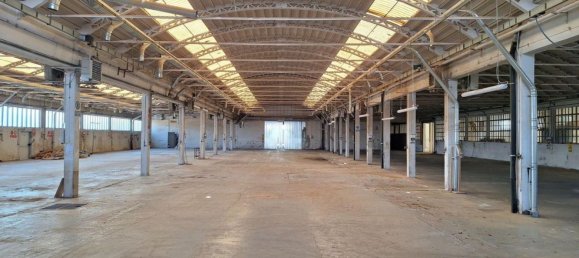 5500m² Warehouse in Udine, Italy No. 373060 2