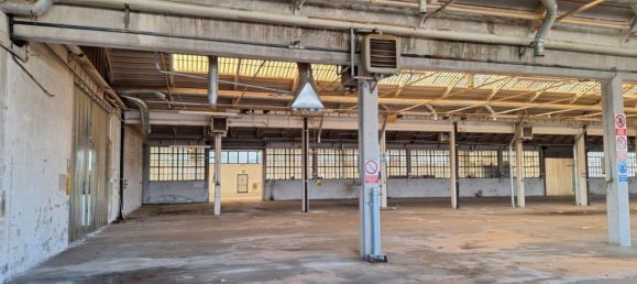 5500m² Warehouse in Udine, Italy No. 373060 11