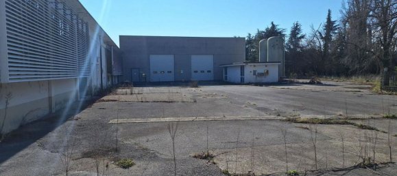5500m² Warehouse in Udine, Italy No. 373060 18