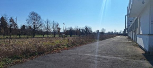 5500m² Warehouse in Udine, Italy No. 373060 17