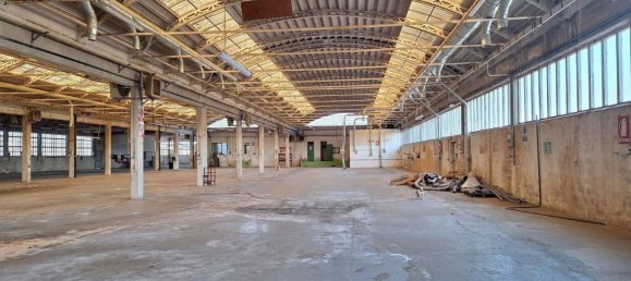 5500m² Warehouse in Udine, Italy No. 373060 10