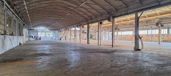 5500m² Warehouse in Udine, Italy No. 373060 4