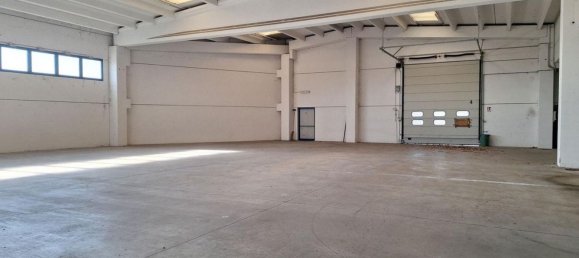 5500m² Warehouse in Udine, Italy No. 373060 15