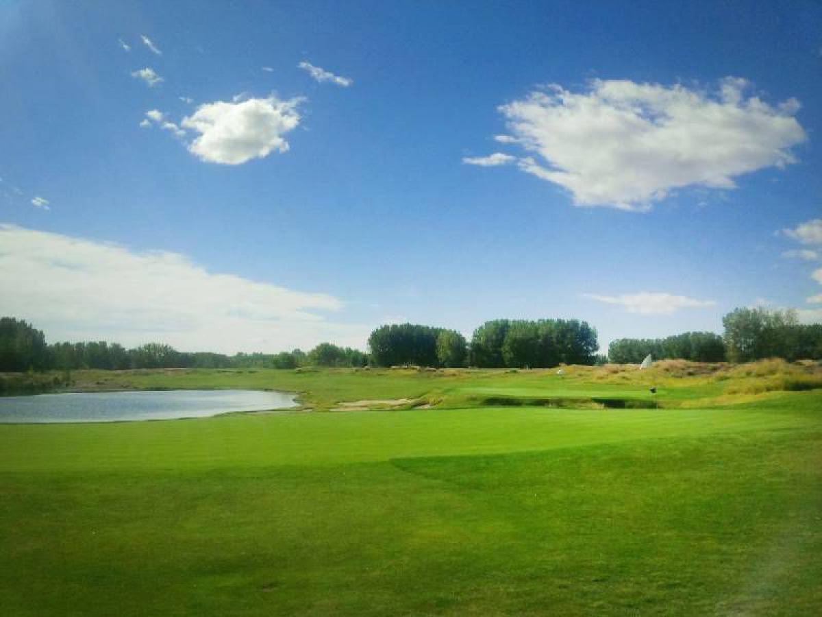  Land in Neuquen, Argentina No. 43529