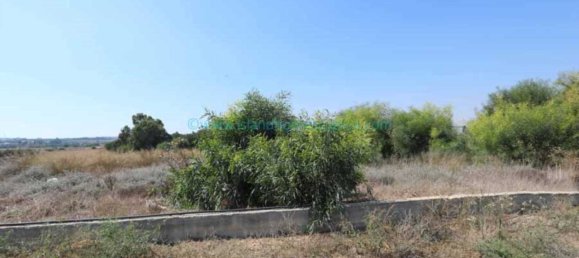  Land in Paralimni, Cyprus No. 24119 3