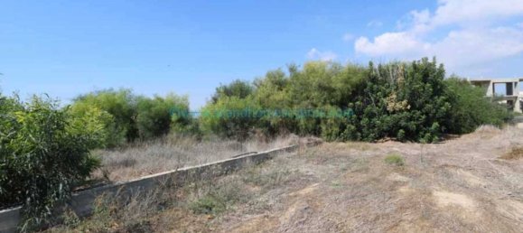  Land in Paralimni, Cyprus No. 24119 2