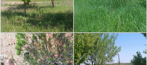 Studio in Molinella, Italy No. 255192 5