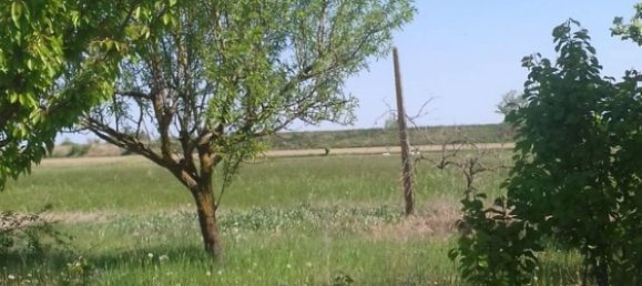 Studio in Molinella, Italy No. 255192 3