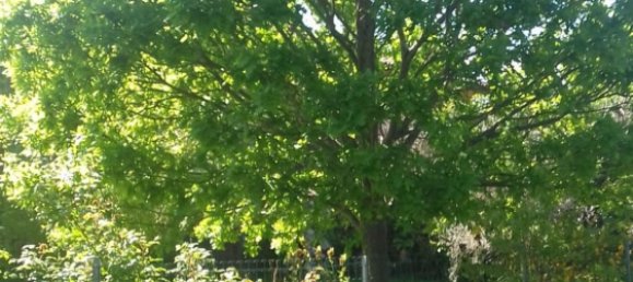 Studio in Molinella, Italy No. 255192 4