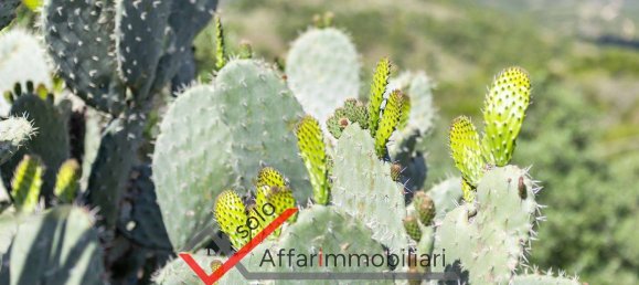 Terrain à Sant'Antonio di Gallura, Italy 170000m² No. 298678 3