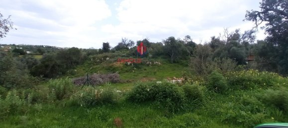 10 bedrooms Land in Guia, Portugal No. 10098 7