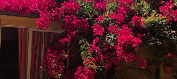 5 Schlafzimmer Haus in Cascais, Portugal, Nr. 113540 34