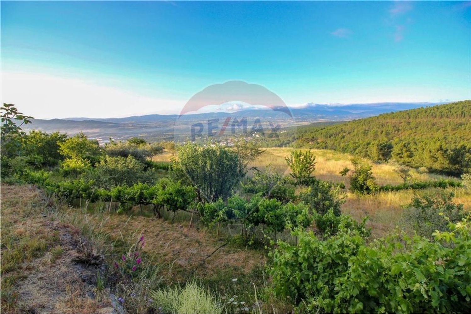  قطعة أرض في Covilha, Portugal 10126متر مربع رقم 67926