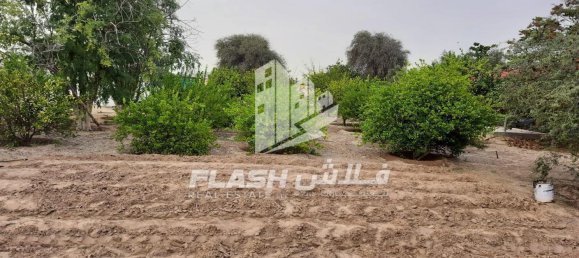 Terreno en Ras Al Khaimah, UAE 18580.5 m² No. 12234 12