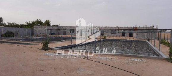 Terreno en Ras Al Khaimah, UAE 18580.5 m² No. 12234 14