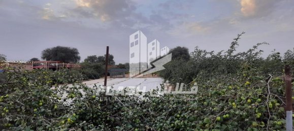 Terreno en Ras Al Khaimah, UAE 18580.5 m² No. 12234 6