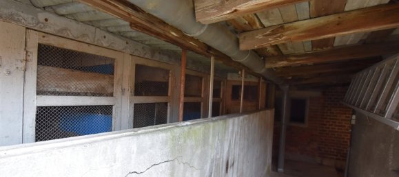 Дом с 6 комнатами в Wittenberg, Германия № 155481 46