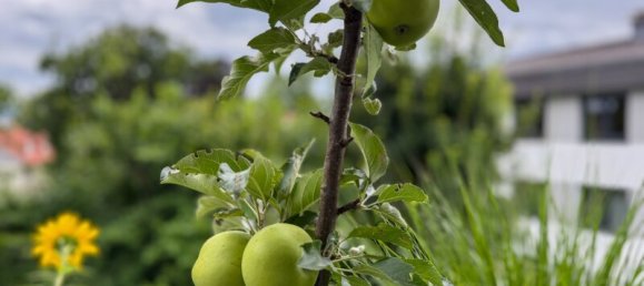 4 rooms Apartment in Wals-Siezenheim, Austria No. 210891 15