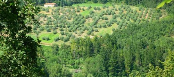 20 bedrooms Villa in Vicchio, Italy No. 324165 26