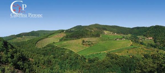 20 bedrooms Villa in Vicchio, Italy No. 324165 31