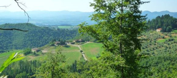 20 bedrooms Villa in Vicchio, Italy No. 324165 23