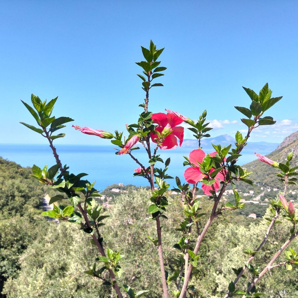 6-salle Maison à Maratea, Italy No. 260509