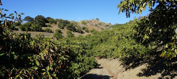 3 bedrooms House in Vinuela, Spain No. 128503 7