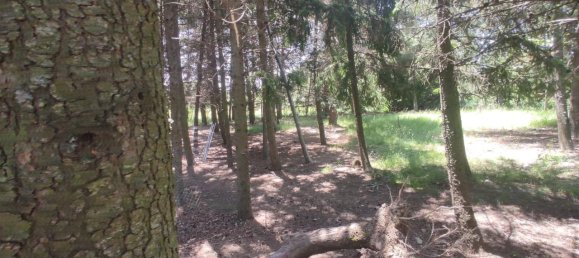 4 bedrooms House in Madrid, Spain No. 144701 24