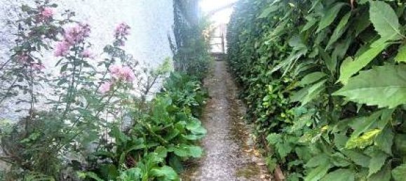 4-Zimmer Villa in Morsasco, Italy, Nr. 290245 25