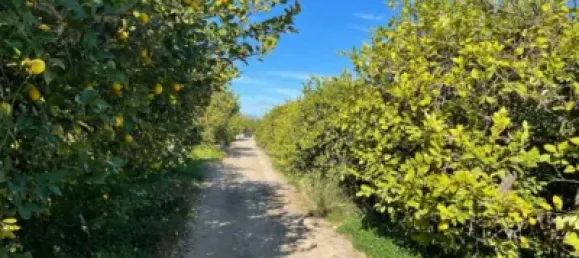 Terreno en Torreaguera, Spain 1300 m² No. 107446 5