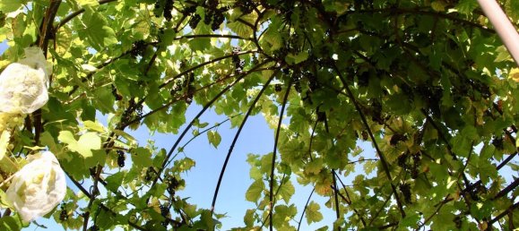 3-salle Maison de ville à Dortmund, Germany No. 282275 3