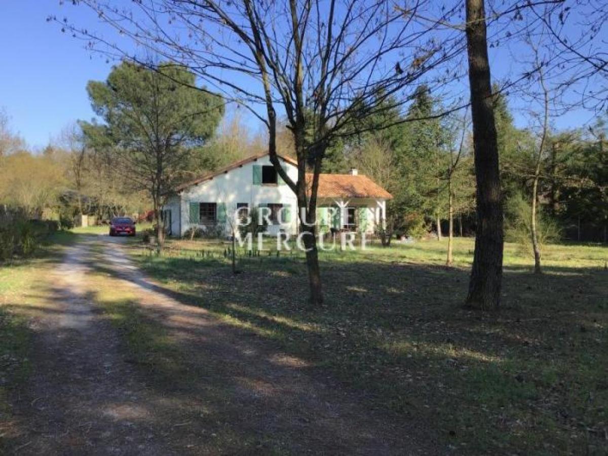 4 bedrooms House in Chatellerault, France No. 37758