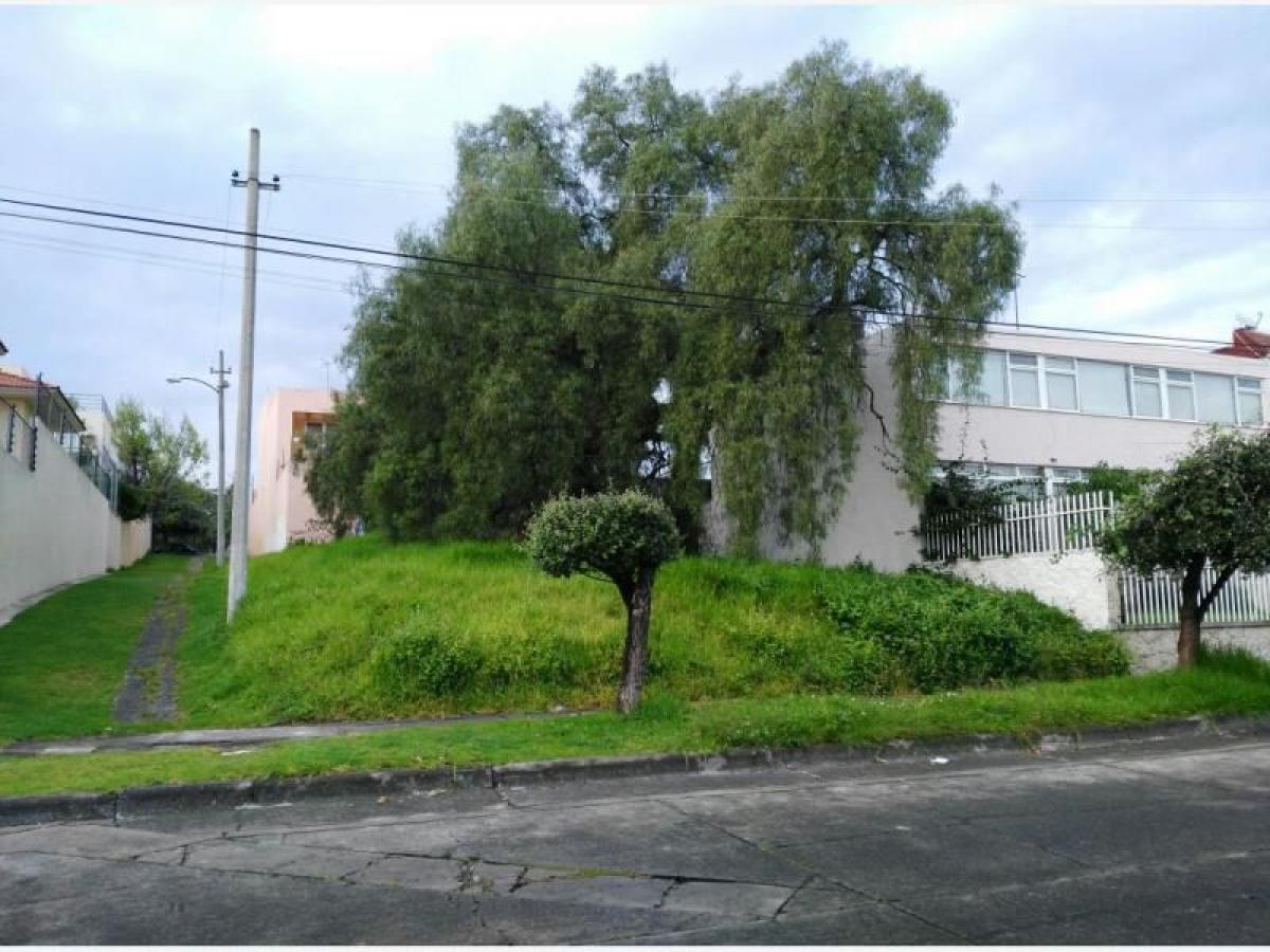 Grundstück in Naucalpan de Juarez, Mexico, Nr. 206216