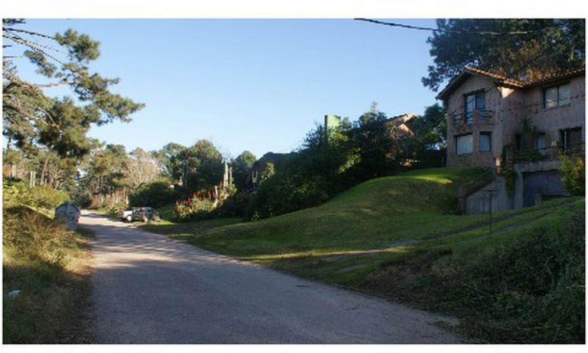 Grundstück in Maldonado, Uruguay, Nr. 14918