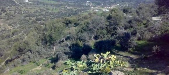116000m² Hotel for sale in Karystos, Euboea, Central Greece, Thessaly and Central Greece, Greece № 6531 5