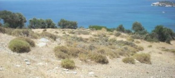 116000m² Hotel for sale in Karystos, Euboea, Central Greece, Thessaly and Central Greece, Greece № 6531 19