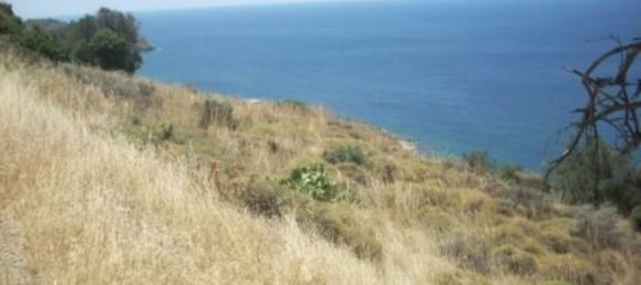 116000m² Hotel in Karystos, Greece No. 6531 11