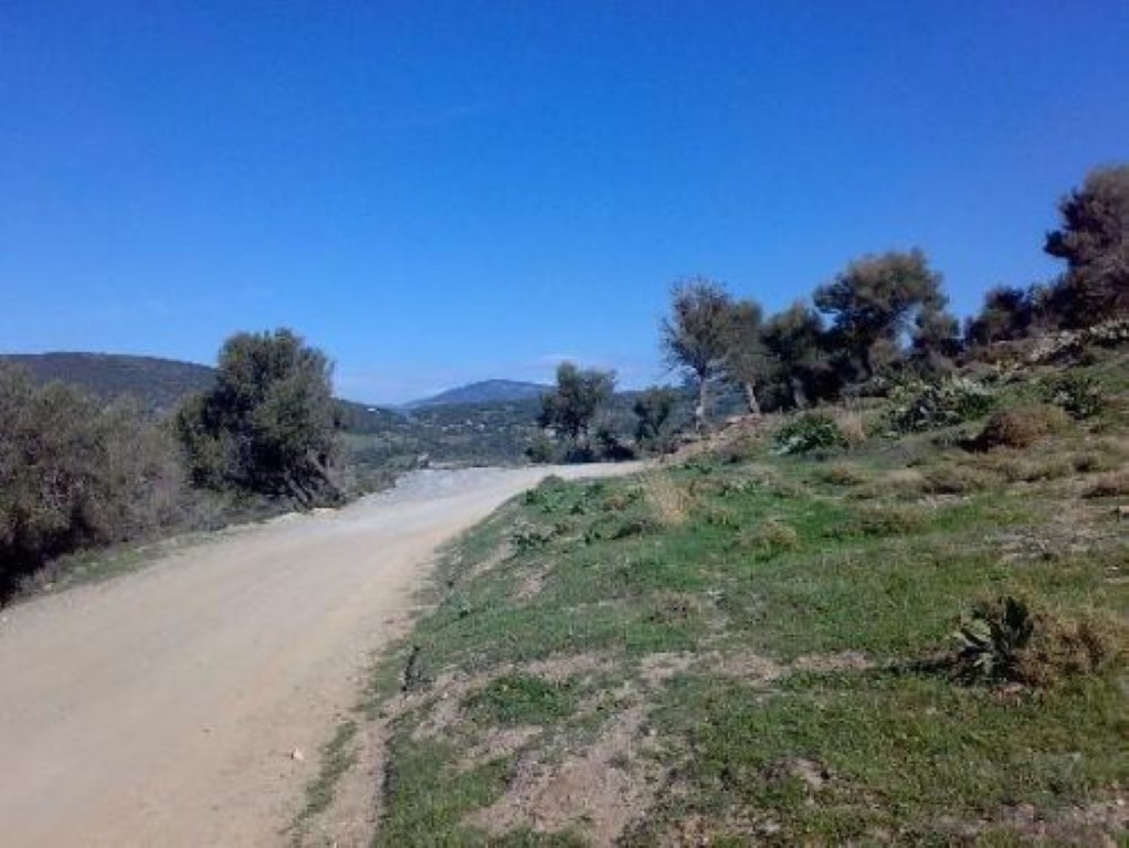 116000m² Hotel for sale in Karystos, Euboea, Central Greece, Thessaly and Central Greece, Greece № 6531