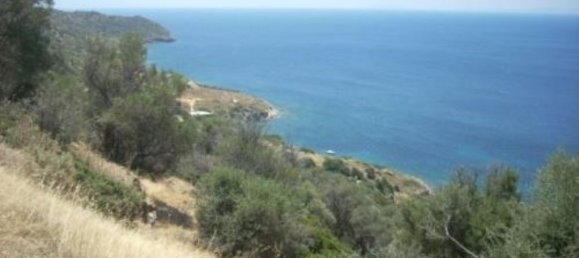 116000m² Hotel for sale in Karystos, Euboea, Central Greece, Thessaly and Central Greece, Greece № 6531 22