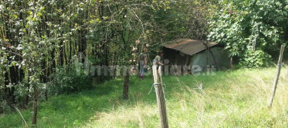 3 bedrooms House in Lusiana Conco, Italy No. 313029 16