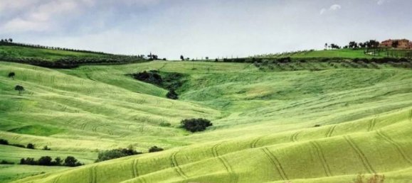 35 bedrooms Villa in San Casciano in Val di Pesa, Italy No. 189738 21