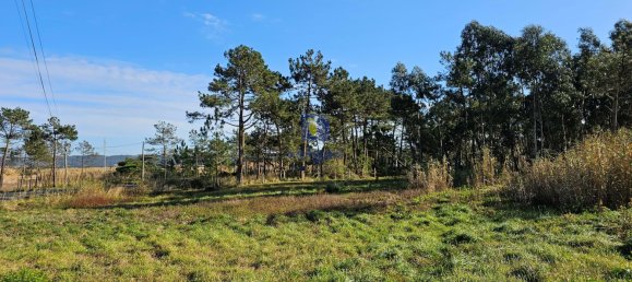  Land in Caldas da Rainha, Portugal No. 112839 10