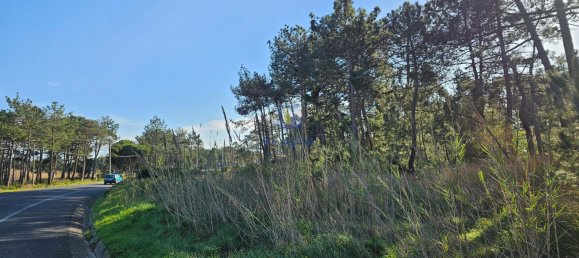  Land in Caldas da Rainha, Portugal No. 112839 14