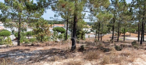 Grundstück in Grandola, Portugal 809m², Nr. 328972 4