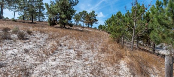 Grundstück in Grandola, Portugal 809m², Nr. 328972 7