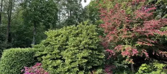 Moradia em banda de 4 divisões em Emsland, Germany N.º 369602 10